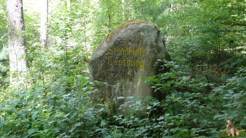 Ritterstein Nr. 264-5b Scheidhütte Niliusburg.JPG - Ritterstein Nr.264 Scheidhütte Niliusburg
